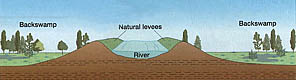 natural levee diagram