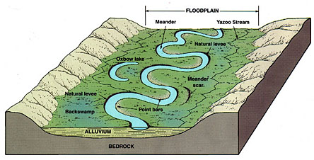 flood plain shows meandering stream