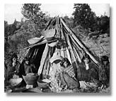 Paiute